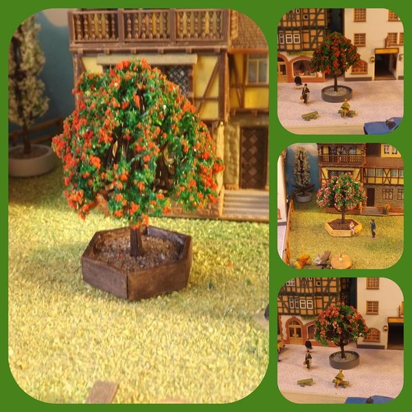 Altrosa od. rot blühender Baum in versch. Pflanzkarree-Varianten (12)